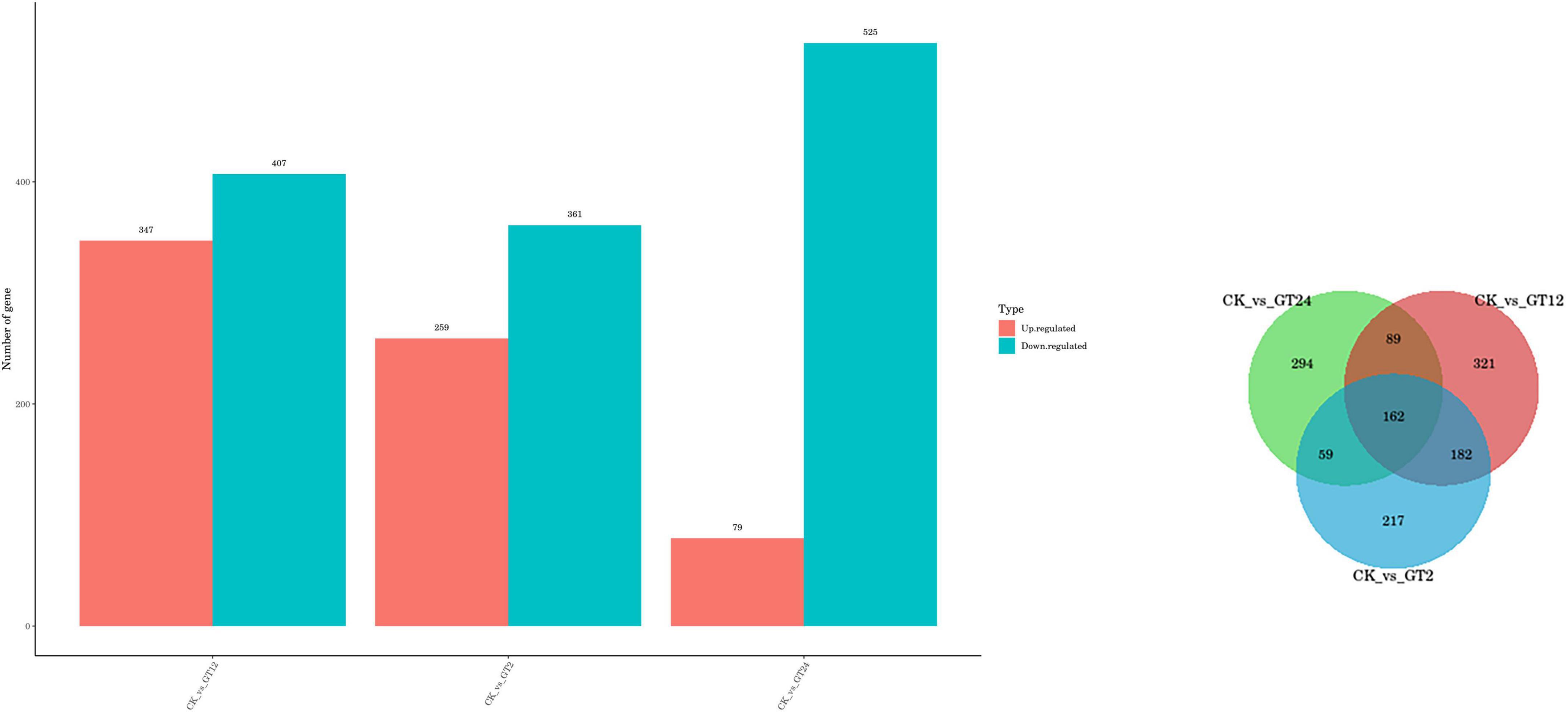 Transcriptome analysis of Ganoderma lingzhi (Agaricomycetes) response to Trichoderma hengshanicum infection